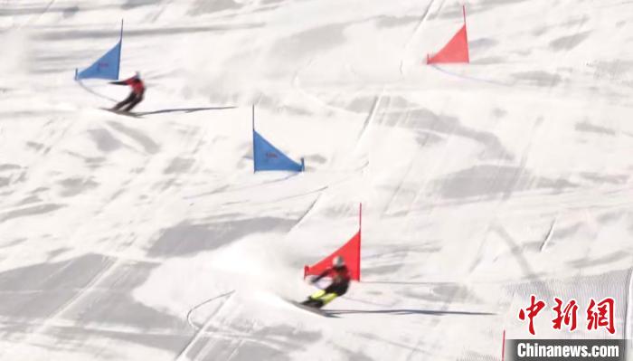 十四冬单板滑雪平行大回转青年组女子赛首金诞